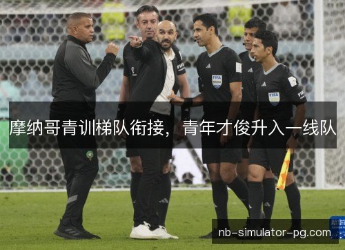 摩纳哥青训梯队衔接,青年才俊升入一线队 摩纳哥青训梯队衔接,青年才俊升入一线队